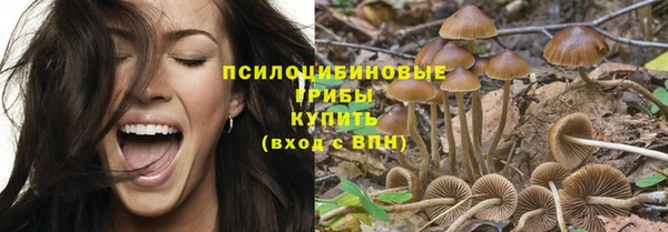 герыч Алексин