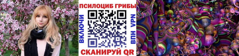 купить наркотики сайты  Балашов  Галлюциногенные грибы Cubensis 